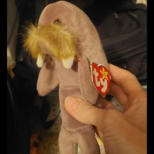 Walrus beanie baby